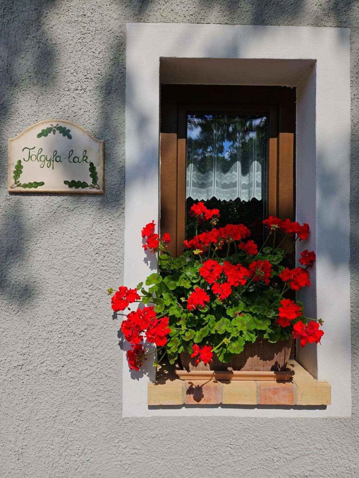 Kosbor Vendeghaz Apartment Monoszlo Exterior photo